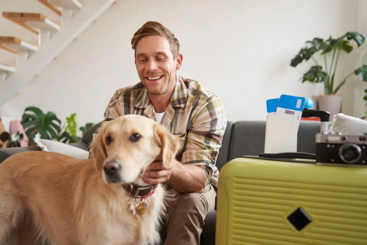 Köpek Oteli Nedir Nasıl Seçilir?