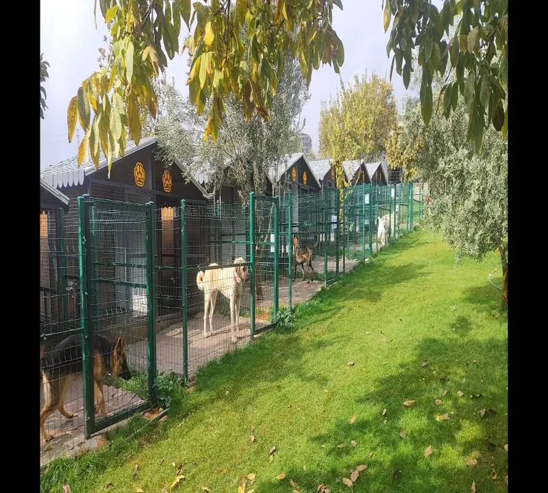 Park Pet Point Tuğba - Kedi Oteli - Köpek Oteli Gaziantep kedi ve köpek oteli - Galeri görseli 4/8 | PawBooking