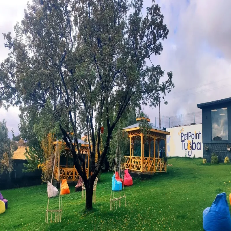 Park Pet Point Tuğba - Kedi Oteli - Köpek Oteli Gaziantep kedi ve köpek oteli - Galeri görseli 5/8 | PawBooking