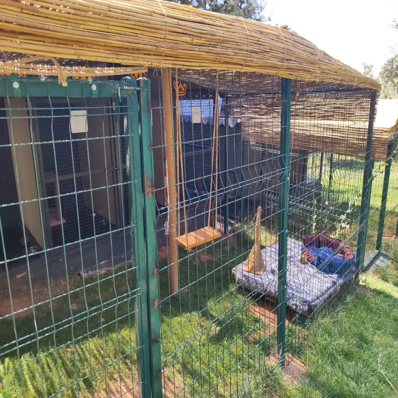 Park Pet Point Tuğba - Kedi Oteli - Köpek Oteli Gaziantep kedi ve köpek oteli - Galeri görseli 6/8 | PawBooking