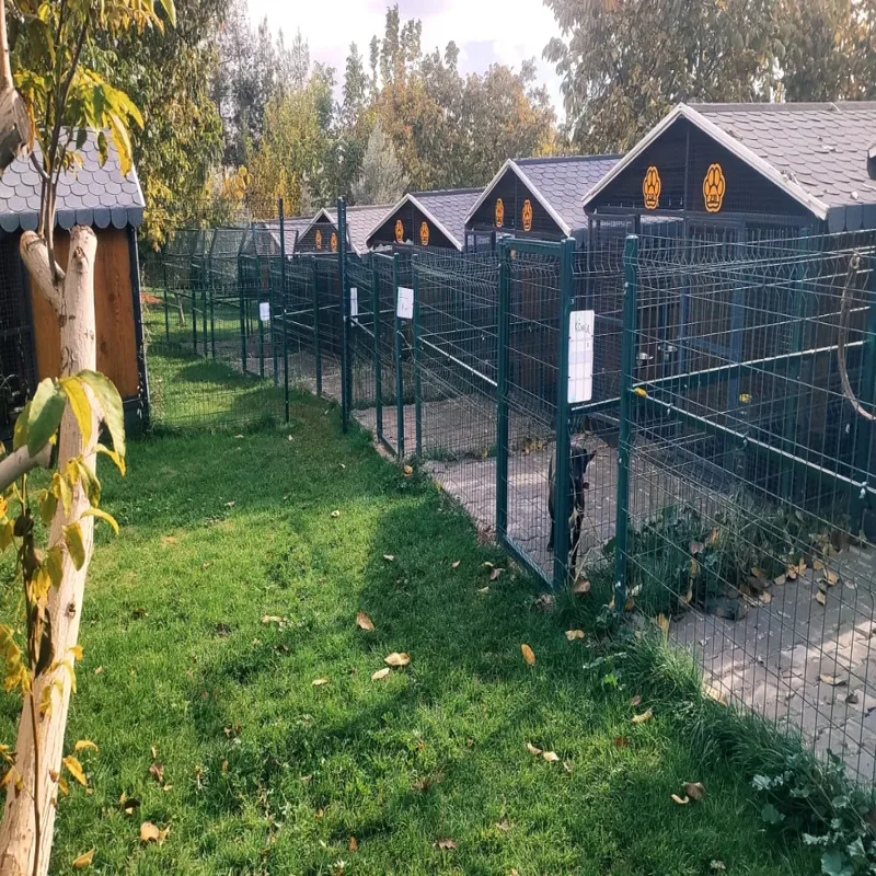 Park Pet Point Tuğba - Kedi Oteli - Köpek Oteli Gaziantep kedi ve köpek oteli - Galeri görseli 7/8 | PawBooking