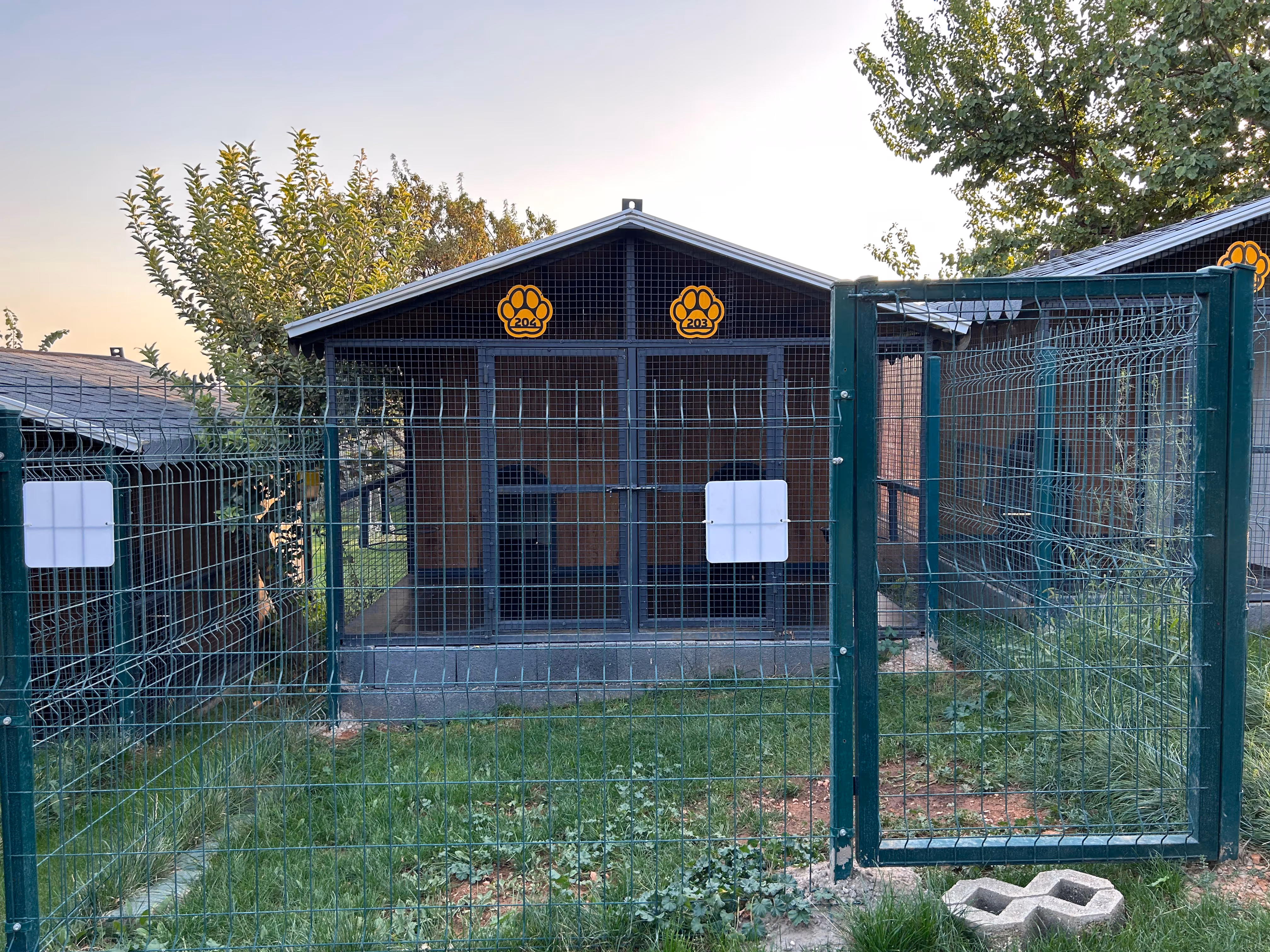 Büyük ve Orta Irk - 1