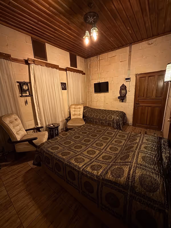 Aynur Hanım Konağı Butik Otel Gaziantep kedi ve köpek oteli - Galeri görseli 18/22 | PawBooking
