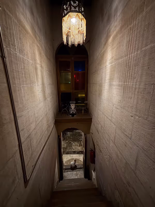 Aynur Hanım Konağı Butik Otel Gaziantep kedi ve köpek oteli - Galeri görseli 21/22 | PawBooking