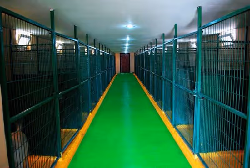 Topaz Kennels Köpek Oteli İstanbul kedi ve köpek oteli - Galeri görseli 6/8 | PawBooking