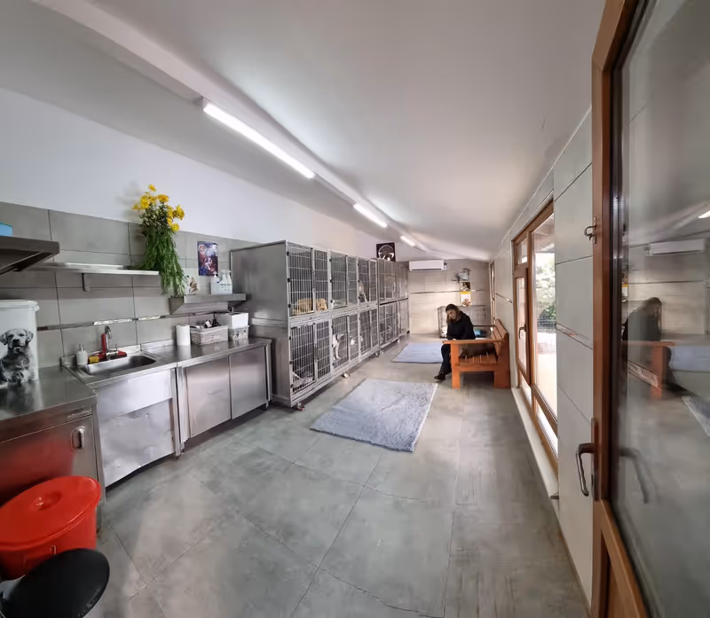 Topaz Kennels Köpek Oteli İstanbul kedi ve köpek oteli - Galeri görseli 7/8 | PawBooking
