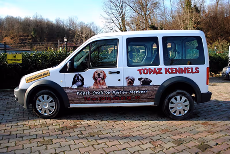 Topaz Kennels Köpek Oteli İstanbul kedi ve köpek oteli - Galeri görseli 8/8 | PawBooking