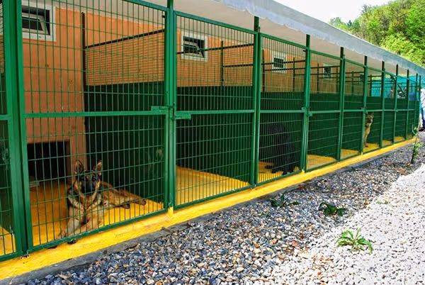 Topaz Kennels Köpek Oteli İstanbul evcil hayvan pet hotelleri Pawbooking