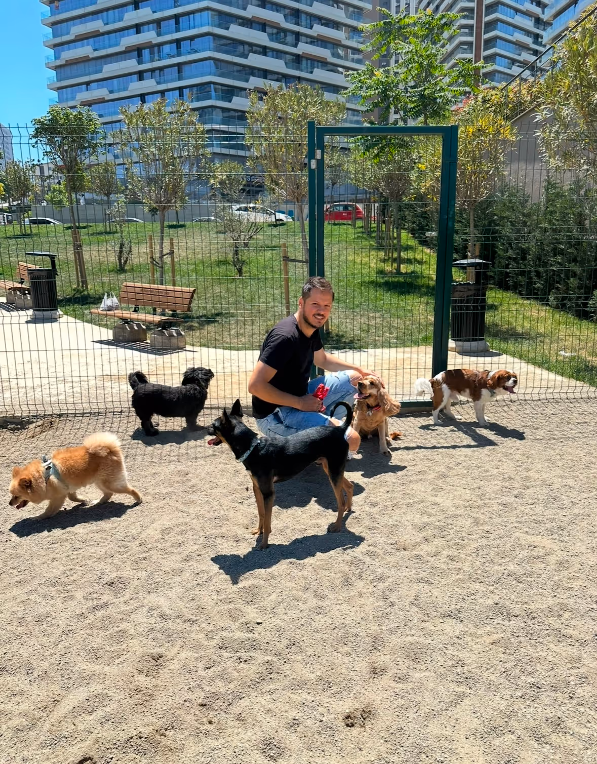 Mika Pet Otel & Kreş