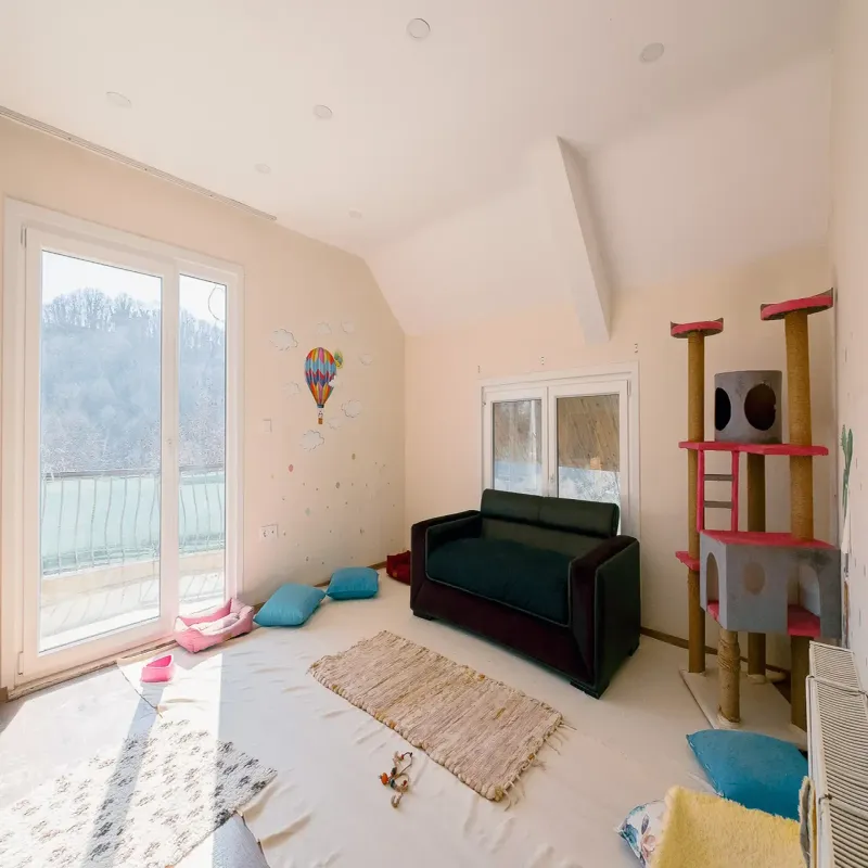 Neşeli Kedi ve Köpek Oteli İstanbul kedi ve köpek oteli - Galeri görseli 5/7 | PawBooking
