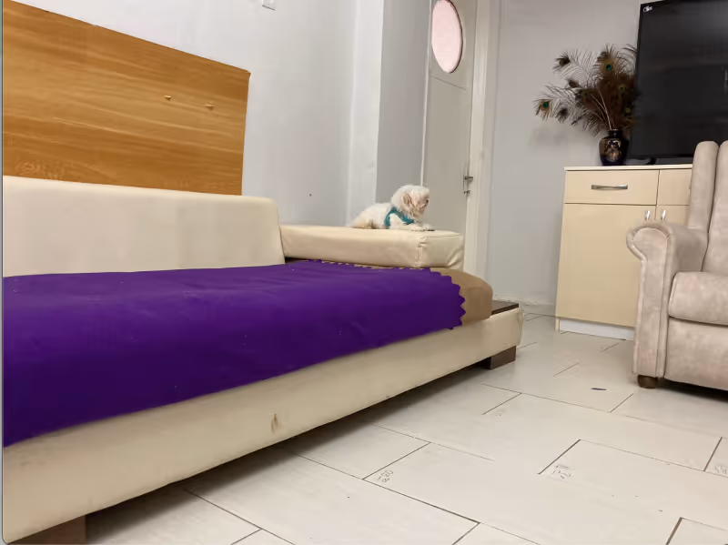 Keyifli Patim Pet Oteli | Köpek Oteli İstanbul kedi ve köpek oteli - Galeri görseli 8/27 | PawBooking