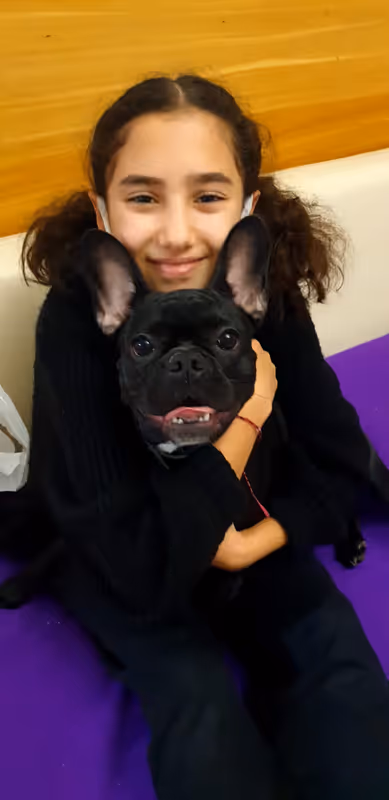 Keyifli Patim Pet Oteli | Köpek Oteli İstanbul kedi ve köpek oteli - Galeri görseli 9/27 | PawBooking