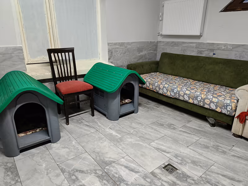 Keyifli Patim Pet Oteli | Köpek Oteli İstanbul kedi ve köpek oteli - Galeri görseli 20/27 | PawBooking
