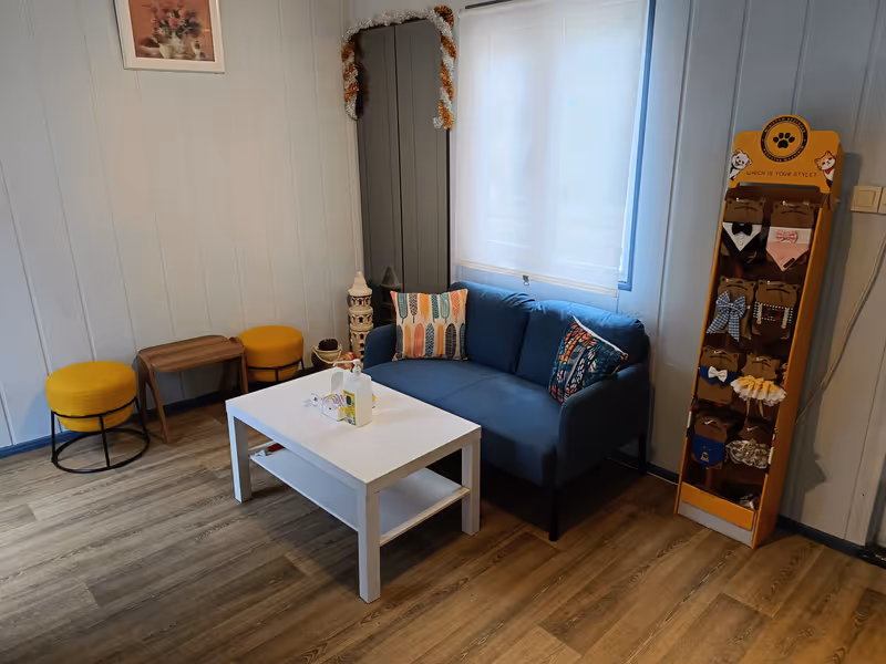 Keyifli Patim Pet Oteli | Köpek Oteli İstanbul kedi ve köpek oteli - Galeri görseli 26/27 | PawBooking