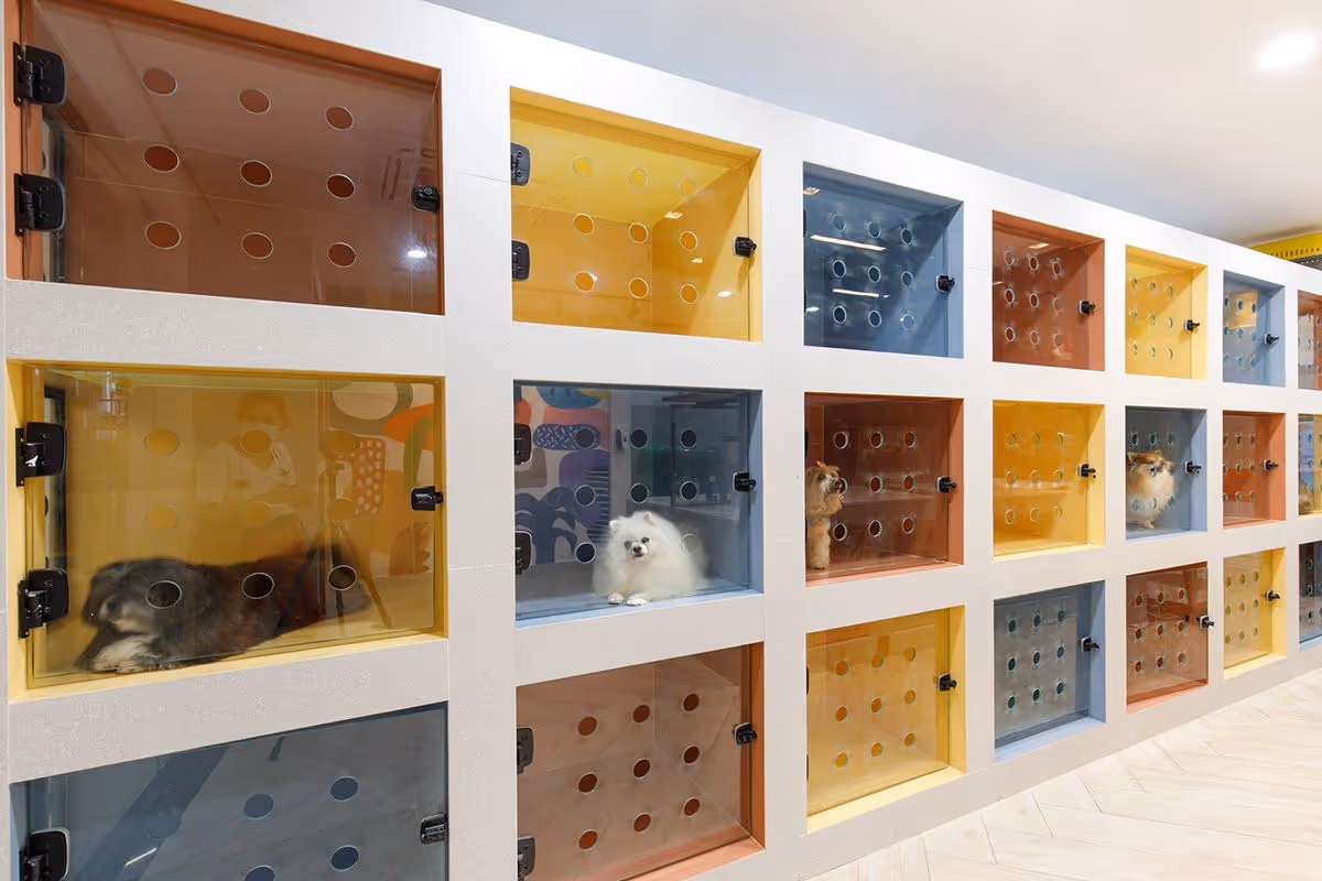 Univergo Pet Otels