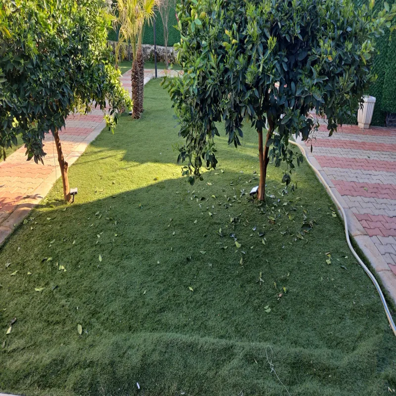 Expo Pet Otel Antalya Antalya kedi ve köpek oteli - Ana galeri görseli | PawBooking