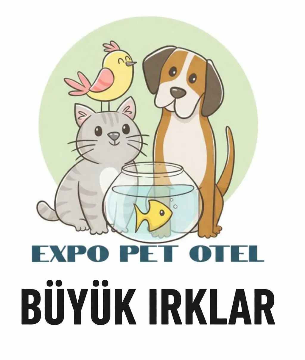 Büyük Irk Köpek Odası - 20