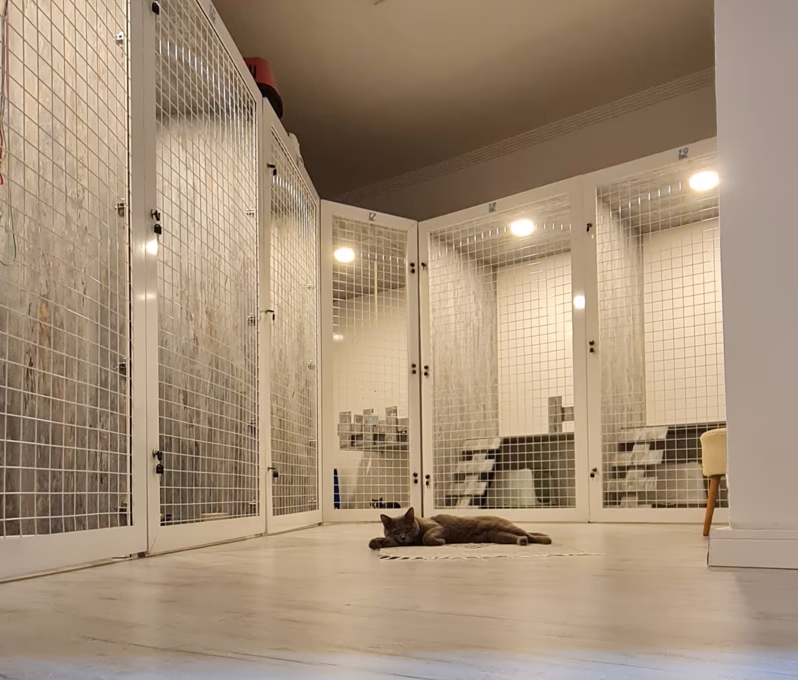 HEPSİ PATİME CAT'S OTEL