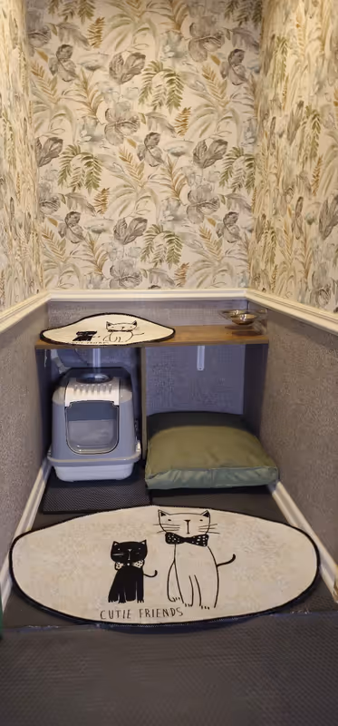 Hepsi Patime Cat's Hotel | Kedi Oteli Antalya kedi ve köpek oteli - Galeri görseli 6/6 | PawBooking