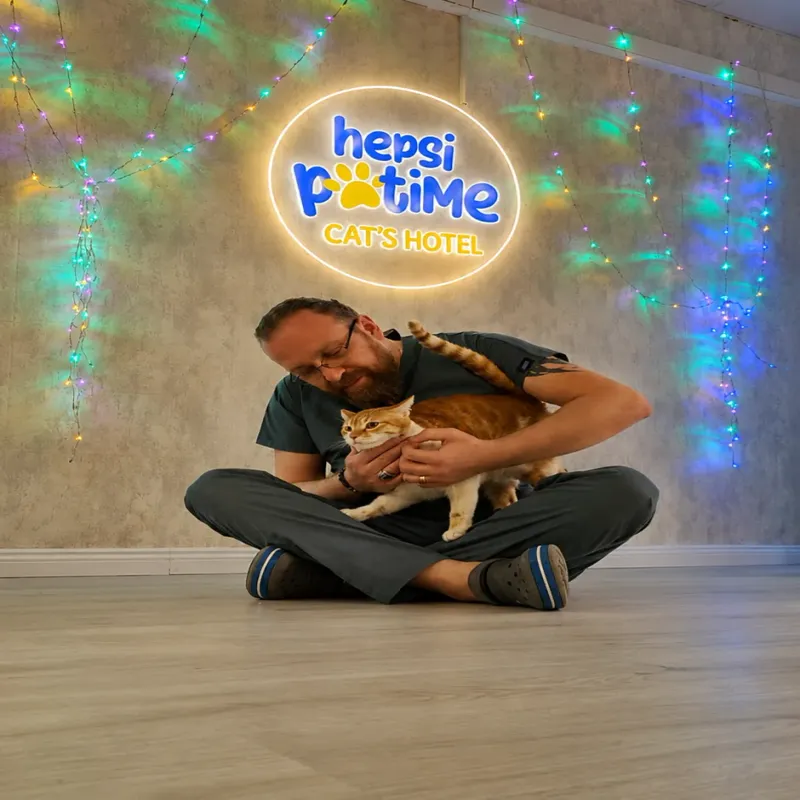 Hepsi Patime Cat's Hotel | Kedi Oteli Antalya kedi ve köpek oteli - Galeri görseli 7/8 | PawBooking