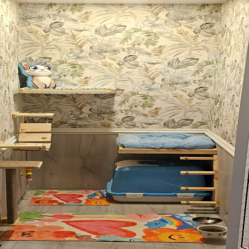 Hepsi Patime Cat's Hotel | Kedi Oteli Antalya kedi ve köpek oteli - Galeri görseli 8/8 | PawBooking