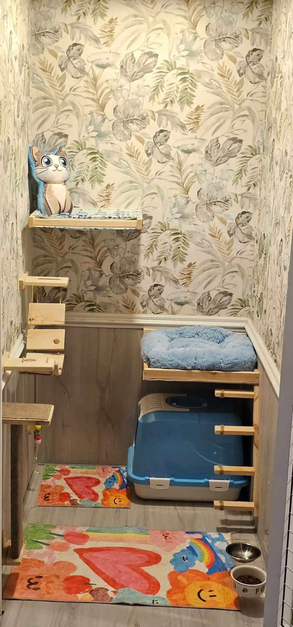 Hepsi Patime Cat's Hotel | Kedi Oteli Antalya evcil hayvan pet hotelleri Pawbooking