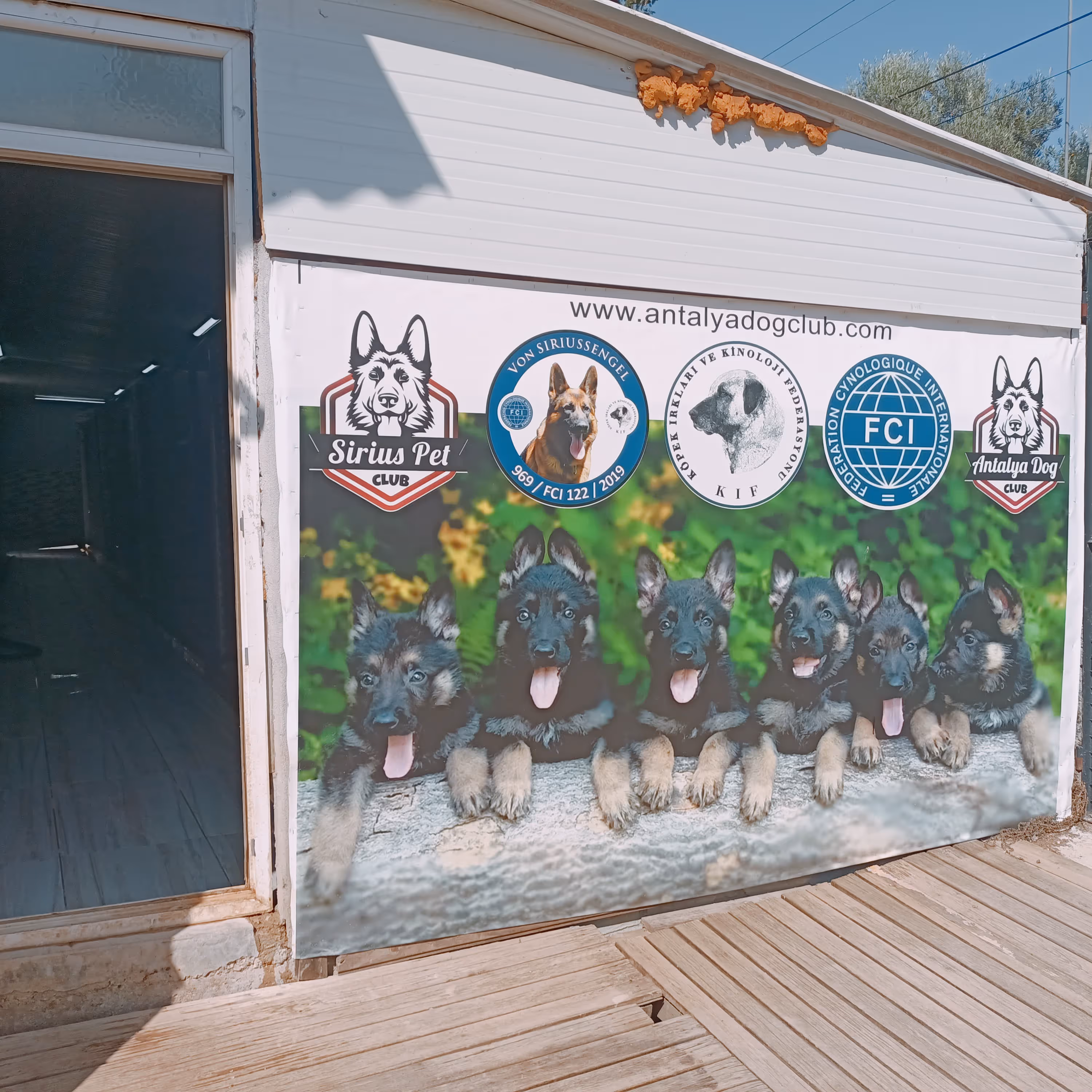 Antalya Dog Club