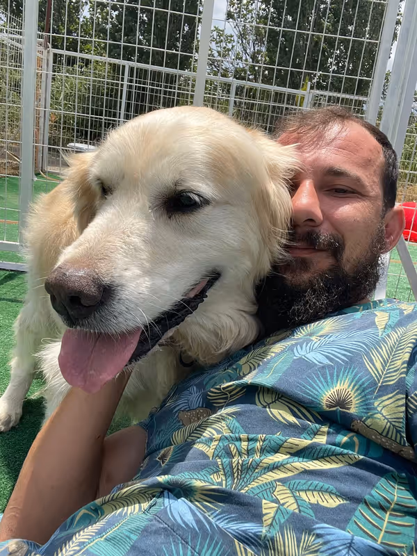 Pets Paradise KEM - Köpek Oteli Balıkesir kedi ve köpek oteli - Galeri görseli 12/26 | PawBooking