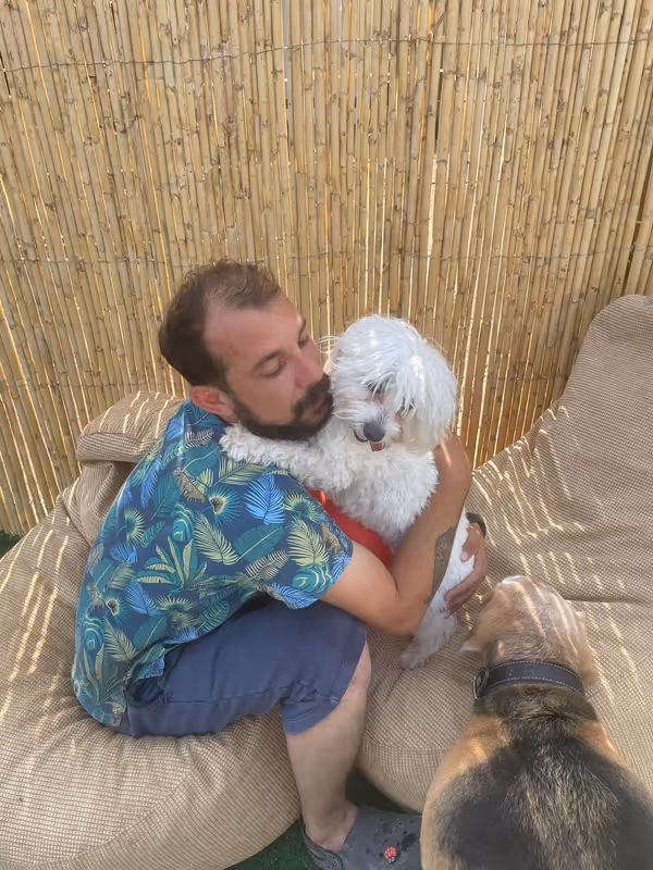 Pets Paradise KEM - Köpek Oteli Balıkesir kedi ve köpek oteli - Galeri görseli 16/26 | PawBooking