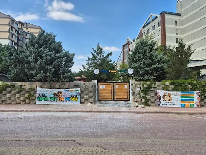 Taby Paws Hotel Konya evcil hayvan pet hotelleri Pawbooking Taby Paws Hotel Konya evcil hayvan pet hotelleri Pawbooking
