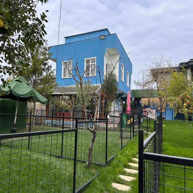 Mika Pet Palace İstanbul evcil hayvan pet hotelleri Pawbooking