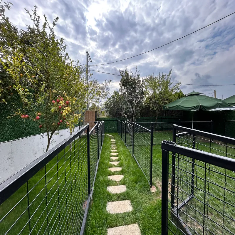 Mika Pet Palace | Köpek Oteli İstanbul kedi ve köpek oteli - Galeri görseli 4/13 | PawBooking