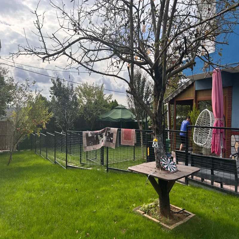 Mika Pet Palace | Köpek Oteli İstanbul kedi ve köpek oteli - Galeri görseli 5/13 | PawBooking