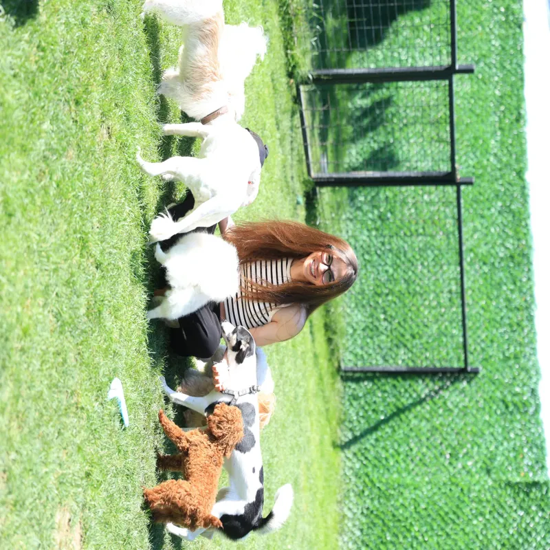 Mika Pet Palace | Köpek Oteli İstanbul kedi ve köpek oteli - Galeri görseli 6/13 | PawBooking
