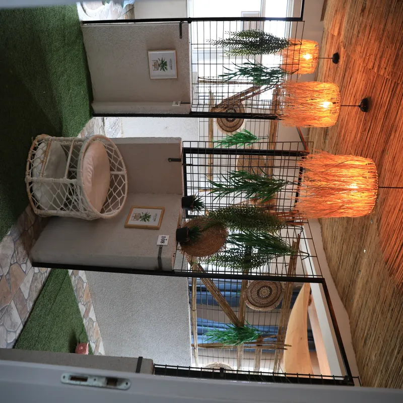 Mika Pet Palace | Köpek Oteli İstanbul kedi ve köpek oteli - Galeri görseli 7/13 | PawBooking