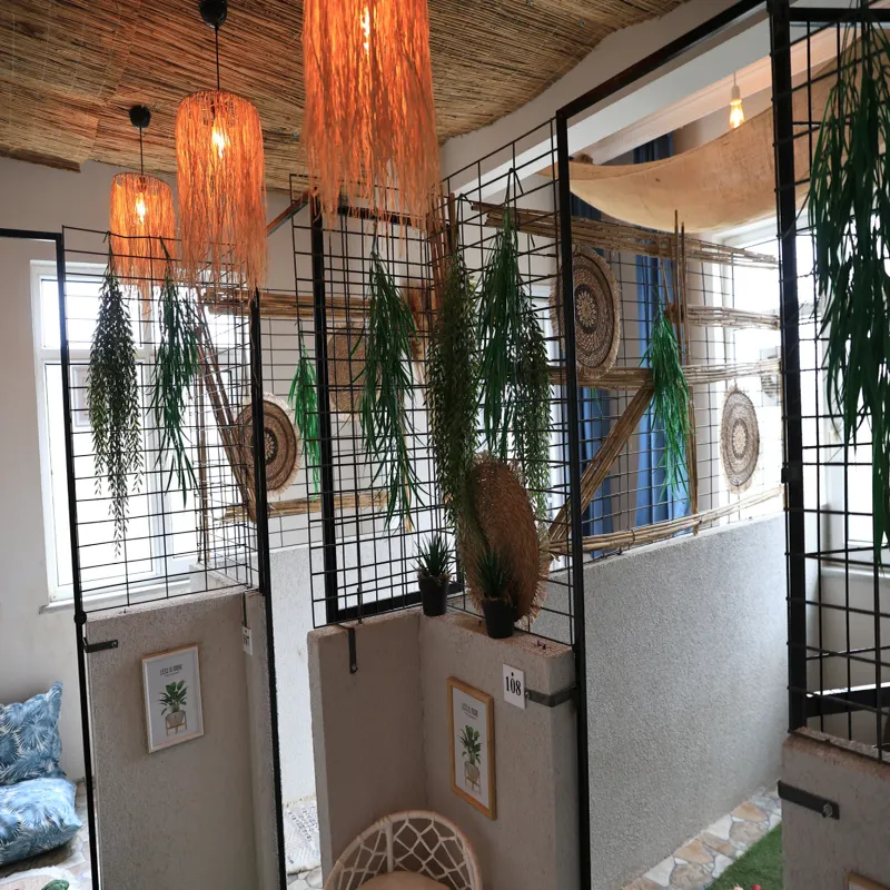 Mika Pet Palace | Köpek Oteli İstanbul kedi ve köpek oteli - Galeri görseli 8/13 | PawBooking