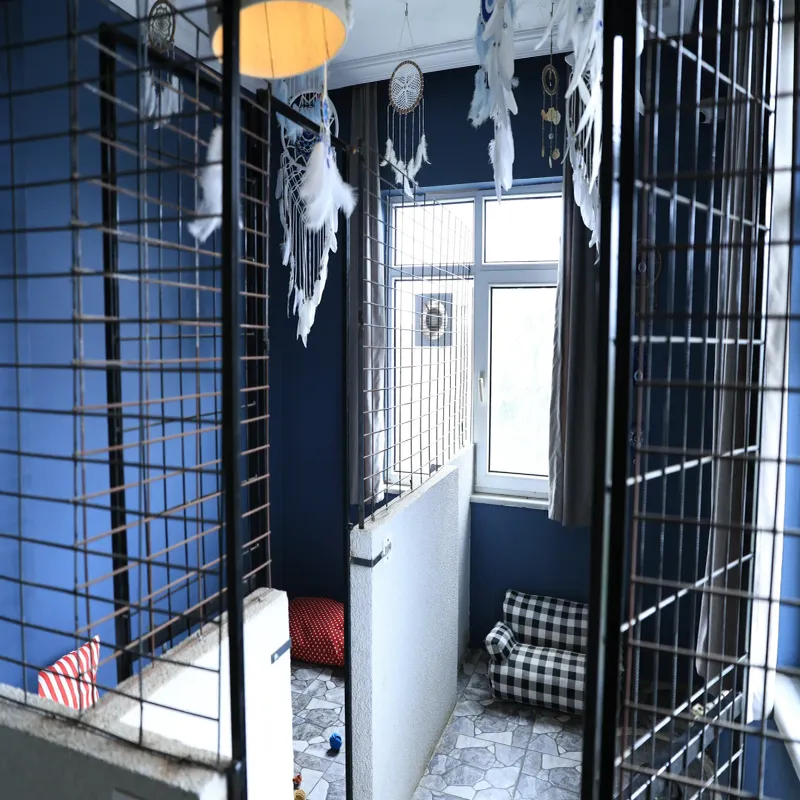 Mika Pet Palace | Köpek Oteli İstanbul kedi ve köpek oteli - Galeri görseli 9/13 | PawBooking