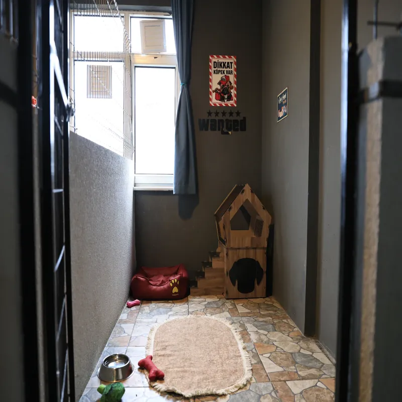 Mika Pet Palace | Köpek Oteli İstanbul kedi ve köpek oteli - Galeri görseli 10/13 | PawBooking
