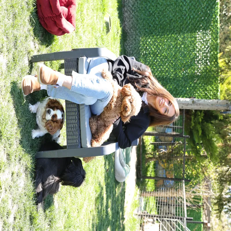 Mika Pet Palace | Köpek Oteli İstanbul kedi ve köpek oteli - Galeri görseli 12/13 | PawBooking