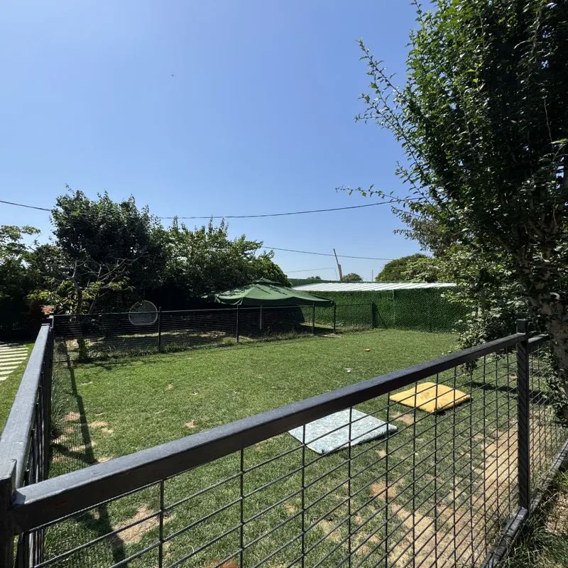 Mika Pet Palace | Köpek Oteli İstanbul kedi ve köpek oteli - Galeri görseli 13/13 | PawBooking