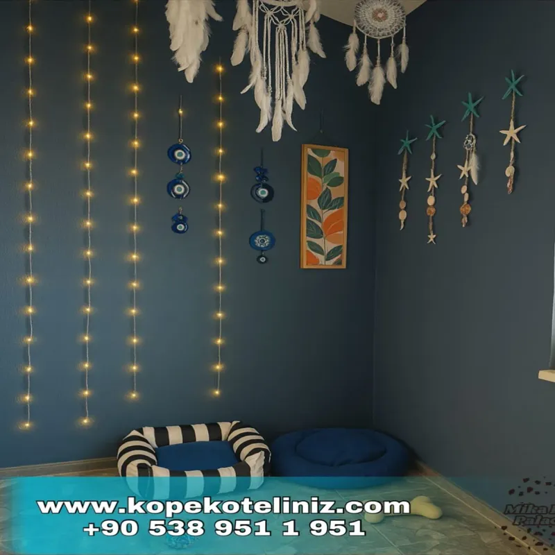 Mika Pet Palace İstanbul evcil hayvan pet hotelleri Pawbooking
