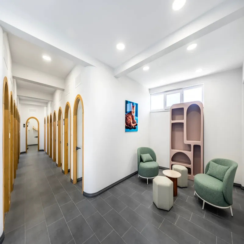 Therapy Point - Kedi ve Köpek Oteli İstanbul kedi ve köpek oteli - Galeri görseli 5/19 | PawBooking