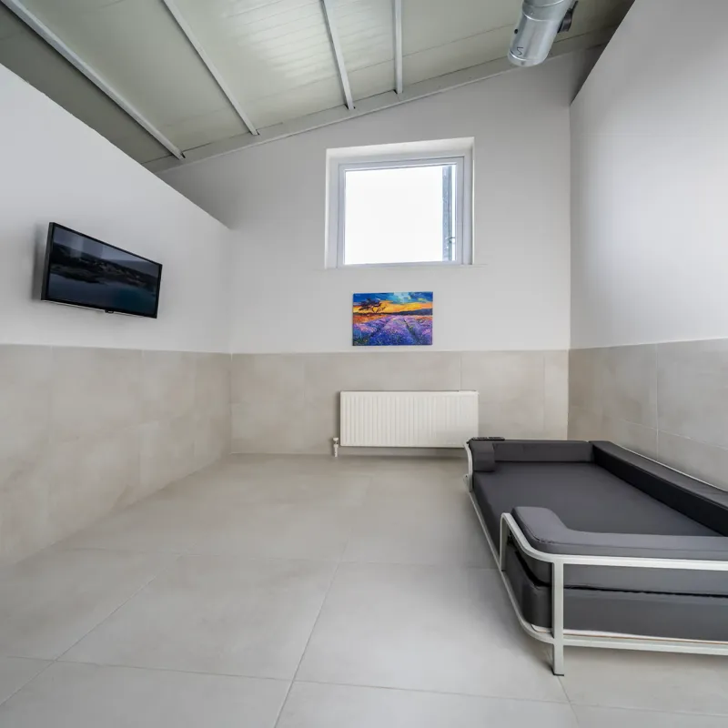 Therapy Point - Kedi ve Köpek Oteli İstanbul kedi ve köpek oteli - Galeri görseli 18/19 | PawBooking