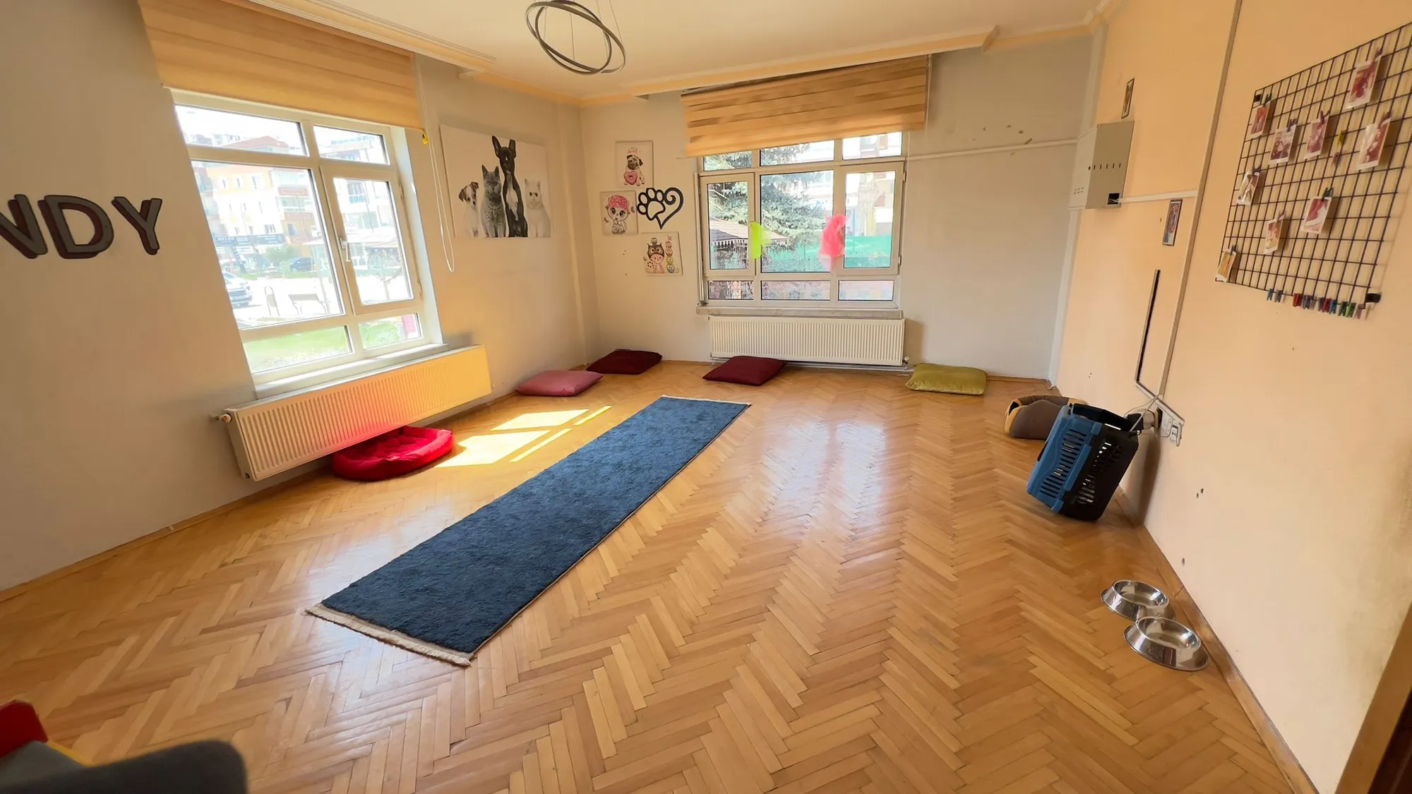 Petfendy Pet Otel - Pet Kreş