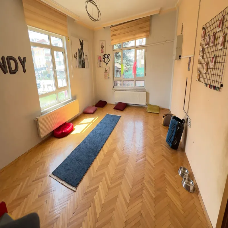 Petfendy Pet Otel Ankara evcil hayvan pet hotelleri Pawbooking