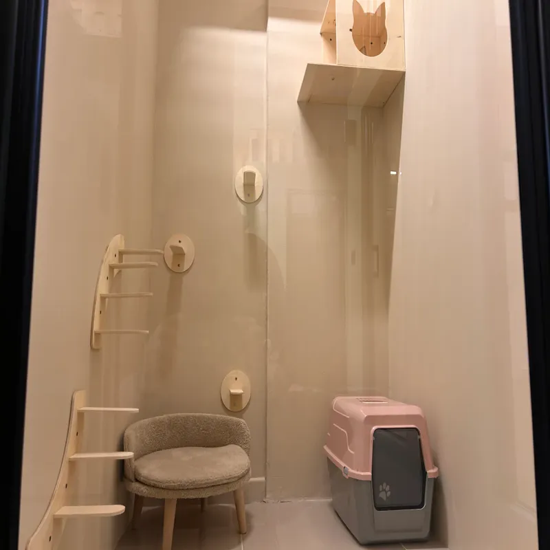 Kedinn Kedi Oteli İstanbul kedi ve köpek oteli - Galeri görseli 4/7 | PawBooking