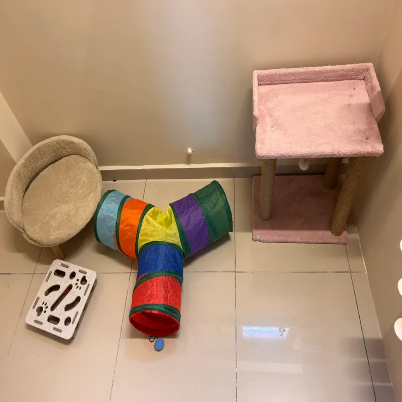 Kedinn Kedi Oteli İstanbul kedi ve köpek oteli - Galeri görseli 5/7 | PawBooking