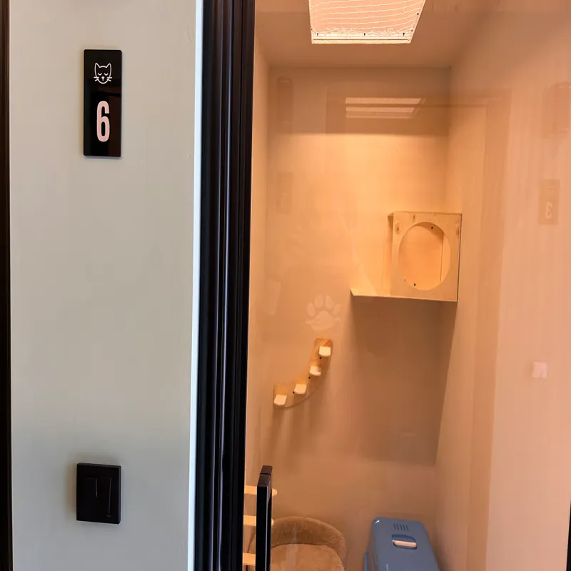 Kedinn Kedi Oteli İstanbul kedi ve köpek oteli - Galeri görseli 7/7 | PawBooking