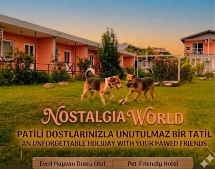 1000091191.jpg