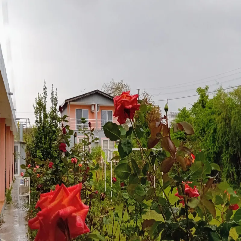 Nostalgia World Boutique Hotel Antalya kedi ve köpek oteli - Galeri görseli 6/27 | PawBooking
